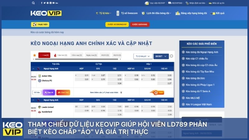 Tham chiếu dữ liệu Keovip giúp hội viên LD789 phân biệt kèo chấp “ảo” và giá trị thực.